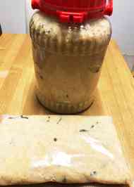 みんなが作ってる 手作り味噌 ジップロックのレシピ クックパッド 簡単おいしいみんなのレシピが341万品