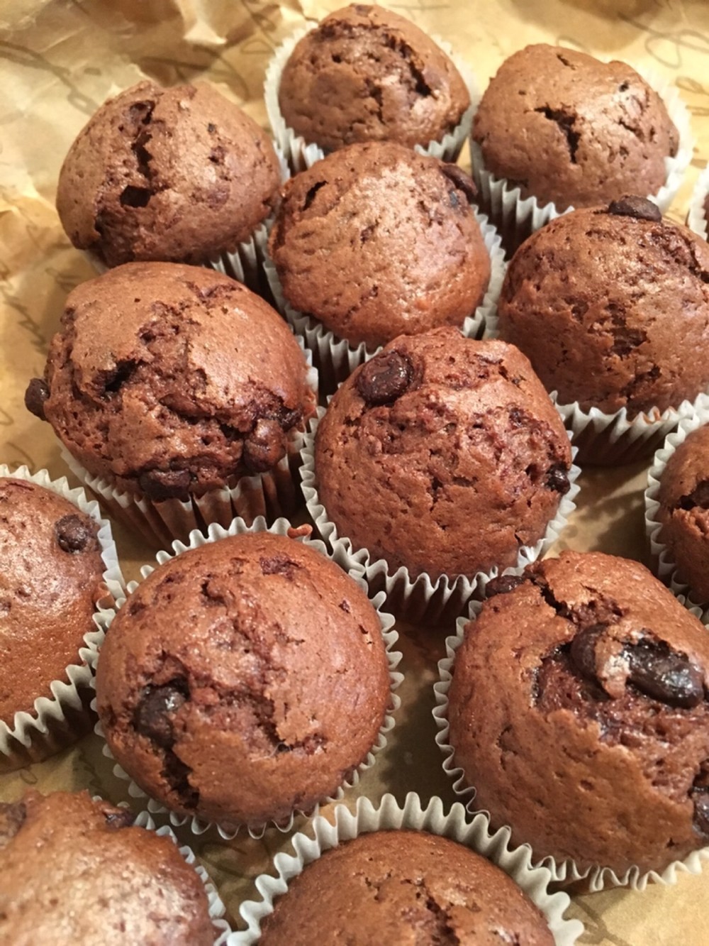 簡単且つ大量ダブルチョコミニカップケーキ レシピ 作り方 By おまめっさん クックパッド 簡単おいしいみんなのレシピが377万品