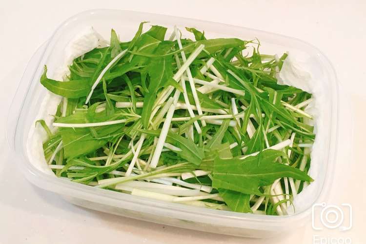 長持ち 水菜の冷蔵 冷凍保存方法 レシピ 作り方 By 新米幸せママ クックパッド 簡単おいしいみんなのレシピが366万品