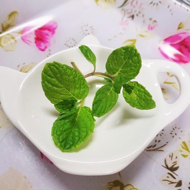 ミントを新鮮なまま長持ちさせる保存方法 レシピ 作り方 By クックl56fzo クックパッド