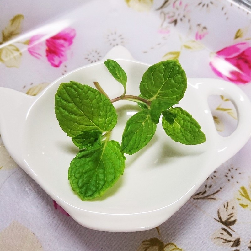 みんなが作ってる ミントシロップ 保存のレシピ クックパッド 簡単おいしいみんなのレシピが360万品