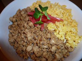 豆腐そぼろ♪ヘルシー!2色丼♪