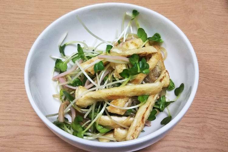 かいわれ大根と春雨の中華風サラダ レシピ 作り方 By Matchon クックパッド