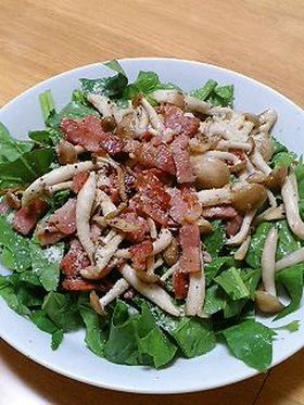 ほうれん草で簡単サラダ