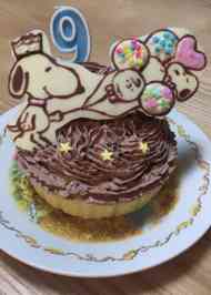 みんなが作ってる チョコレート プレート スヌーピーのレシピ クックパッド 簡単おいしいみんなのレシピが340万品