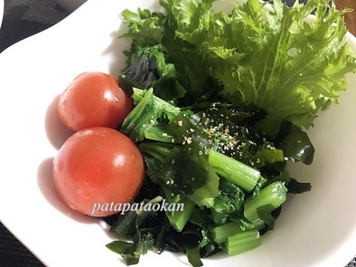 ワサビ菜とわかめのサラダの写真