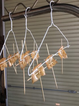 ハリイカの醤油干し(干物)作り方
