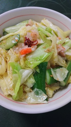 089 しもつかれさっぱり中華サラダ丼