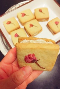 桜クリームサンドクッキー
