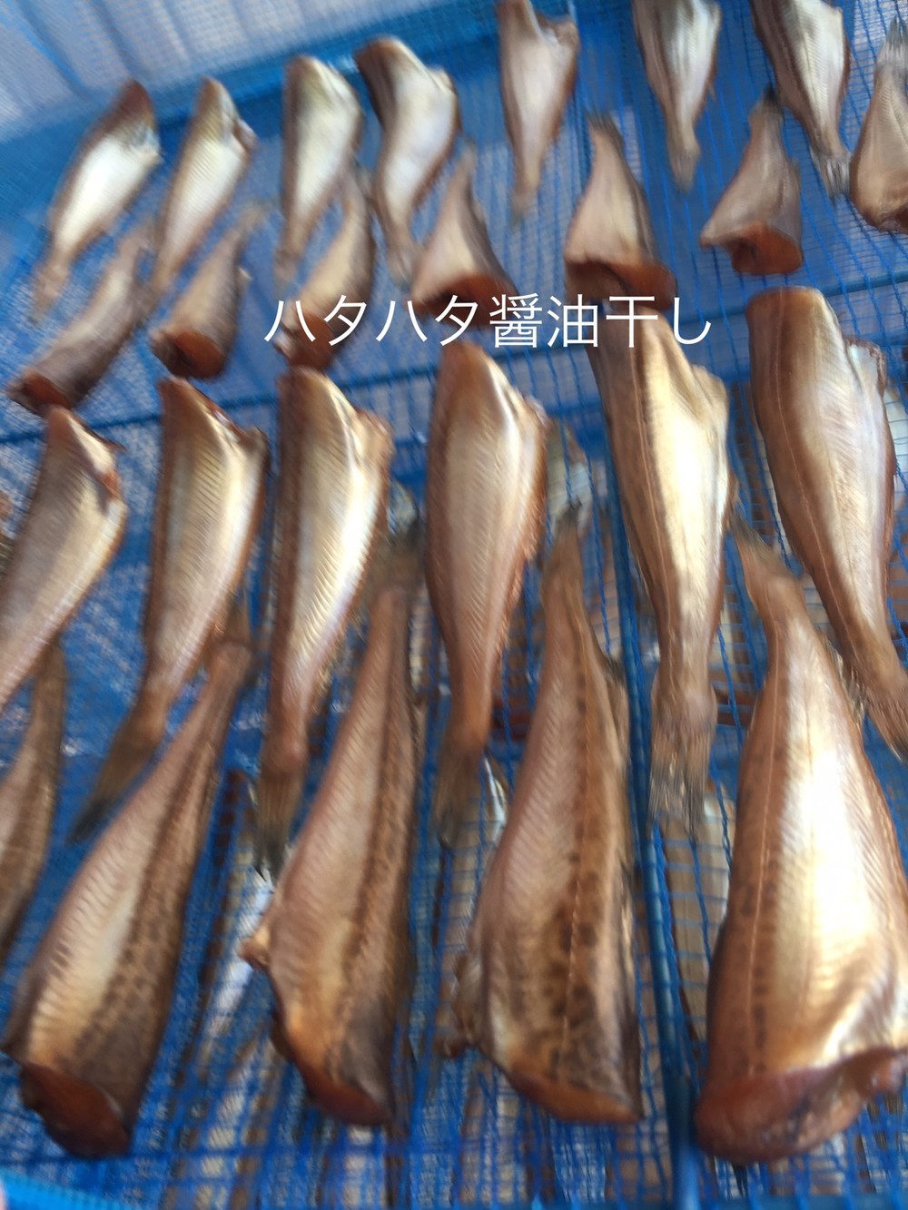 ハタハタの醤油干し 干物 作り方 レシピ 作り方 By Yonyon クックパッド 簡単おいしいみんなのレシピが354万品