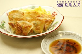 爽やか鯛餃子