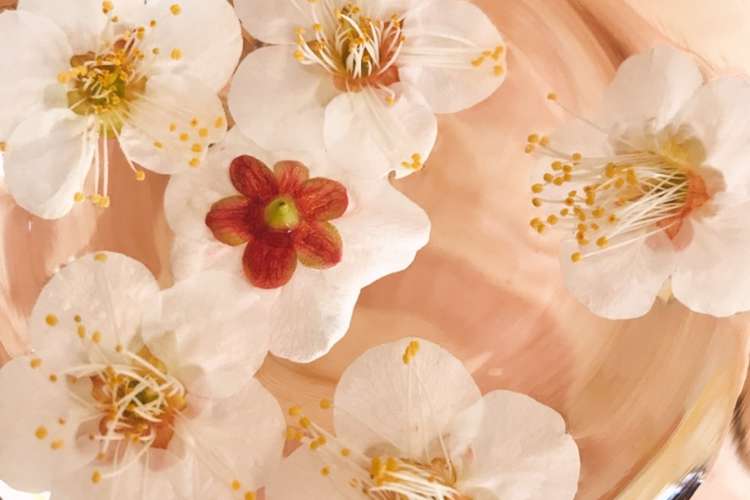 ほんのり杏仁な香り 梅の花ウォーター レシピ 作り方 By Qralahきゅらら クックパッド 簡単おいしいみんなのレシピが353万品