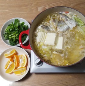 キャベツと鶏肉と鱈のパクチー鍋