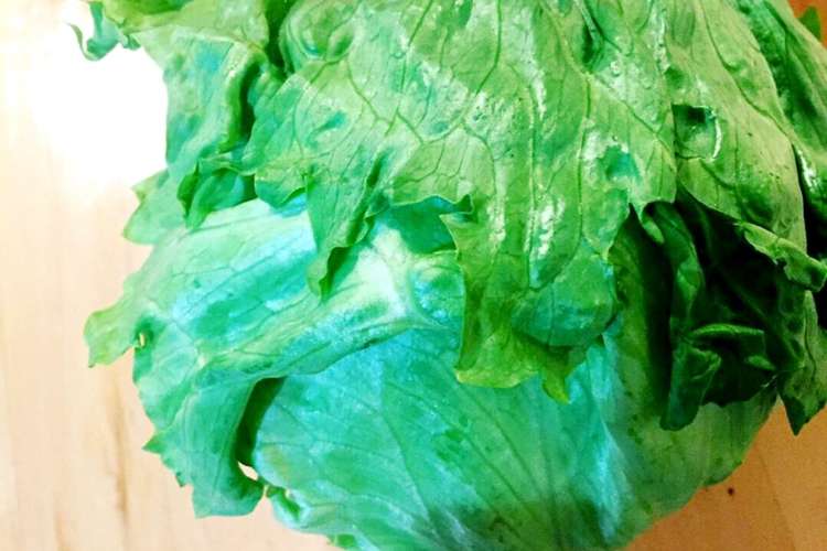 裏ワザ◎レタスを長持ちさせる保存方法 レシピ・作り方 By イチカツ 【クックパッド】 簡単おいしいみんなのレシピが363万品