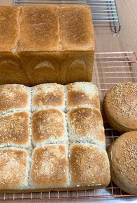 角食1.5斤パンと焼きカレーパンとバンズ