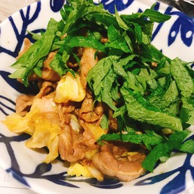 焼肉のたれで簡単肉野菜炒め(大葉のせ)