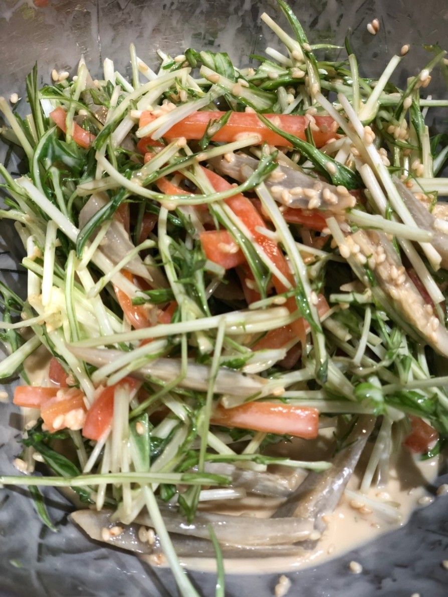 ゴボウとにんじんと水菜のマヨサラダの画像