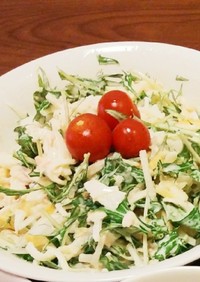 簡単☆水菜と大根のサラダ