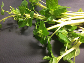 わさびの花茎すし酢和え