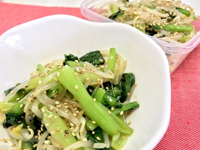 【簡単・常備菜】もやしと小松菜のナムルの写真