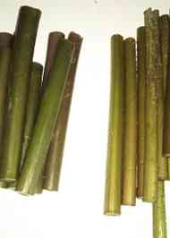 みんなが作ってる つわぶき あく抜きのレシピ クックパッド 簡単おいしいみんなのレシピが367万品