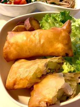 キャベツと鶏むね肉の簡単春巻き