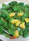 レモンバウムと八朔のサラダ