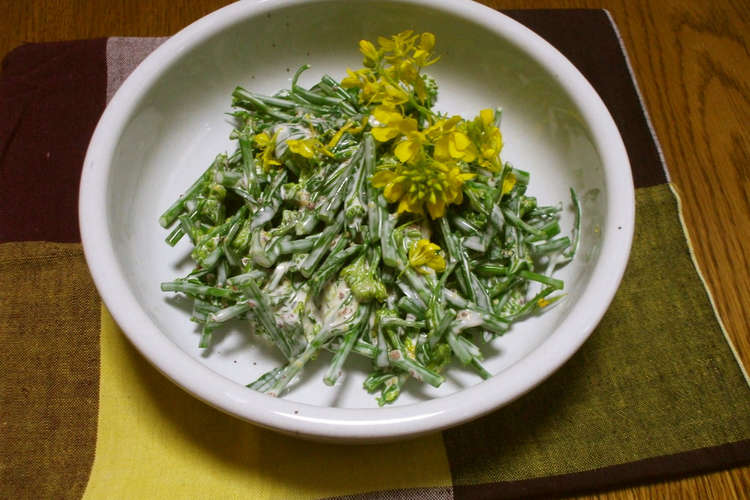 からし菜 菜の花 の 親子和え レシピ 作り方 By 月夜のからす クックパッド 簡単おいしいみんなのレシピが367万品