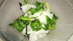 かぶの千枚漬