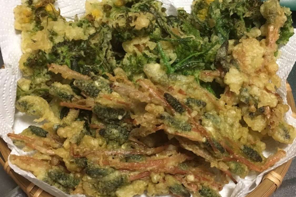 春が旬つくしとからし菜 菜の花 の天ぷら レシピ 作り方 By 桜と桃ちゃん クックパッド 簡単おいしいみんなのレシピが378万品