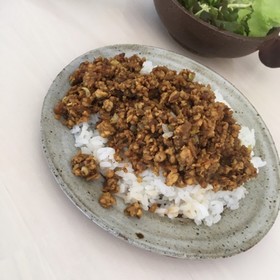 辛くないスパイス盛りドライキーマカレー