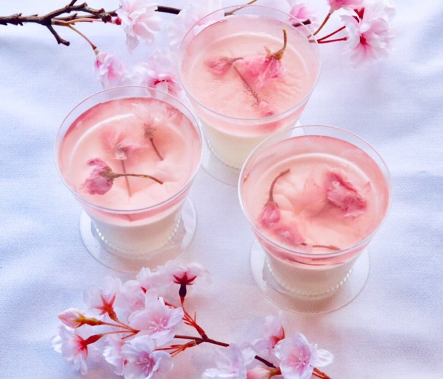 桜のゼリーとパンナコッタ　の画像