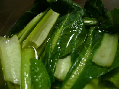 小松菜のピクルスの写真