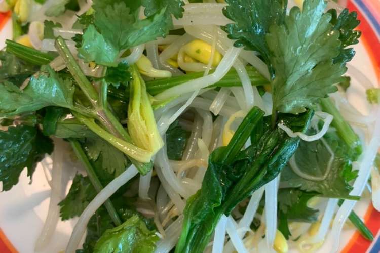 豆もやしとパクチーのタイ風サラダ レシピ 作り方 By Yuno クックパッド 簡単おいしいみんなのレシピが367万品
