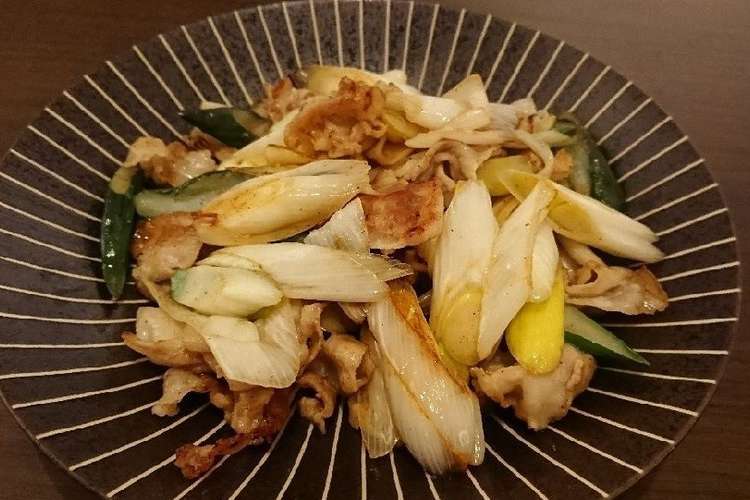 素材が活きる 下仁田ネギの豚肉炒め レシピ 作り方 By カメコ クックパッド 簡単おいしいみんなのレシピが352万品
