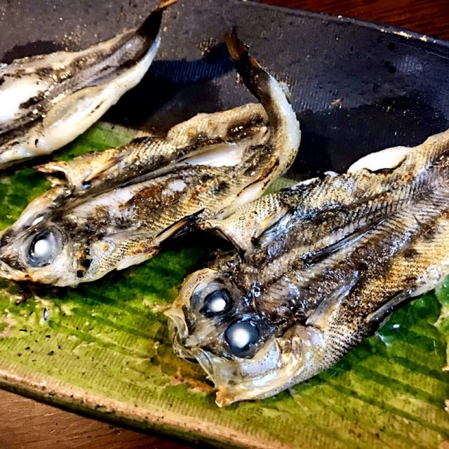 自家製メヒカリの一夜干し レシピ 作り方 By もったいない料理人 クックパッド 簡単おいしいみんなのレシピが364万品