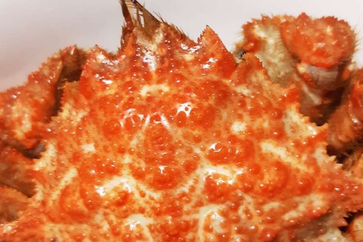 栗がにの塩ゆで レシピ 作り方 By いしわりざくら クックパッド