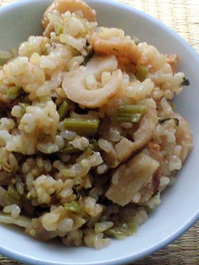 大根の葉炊き込みご飯