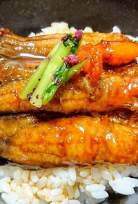 愛知の魚100選⁉　ゴンズイの蒲煮丼