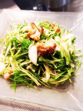 簡単 焼鳥と新玉ねぎと水菜のサラダ