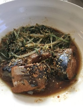 サバ缶と水菜の味噌煮