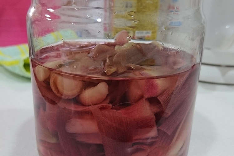 酢みょうが みょうがの茎の甘酢漬け レシピ 作り方 By くりあし クックパッド