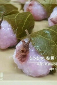 ちっちゃい桜餅・2019