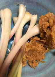 みんなが作ってる あさつき 球根のレシピ クックパッド 簡単おいしいみんなのレシピが358万品