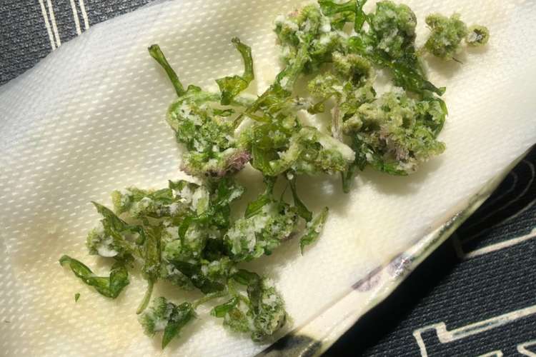 サクサク ハルジオンの蕾のフリット レシピ 作り方 By M Galley クックパッド 簡単おいしいみんなのレシピが350万品