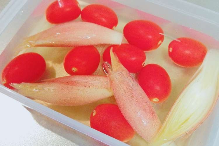 トマトとみょうがの酸っぱすぎない酢漬け レシピ 作り方 By ちぇるこ クックパッド