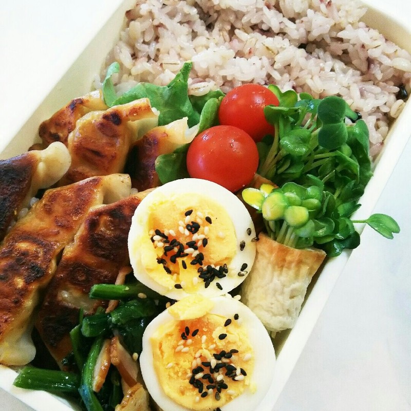 みんなが作ってる 餃子弁当のレシピ クックパッド 簡単おいしいみんなのレシピが354万品