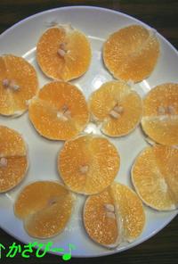 食べやすい♪みかん（柑橘類）の切り方