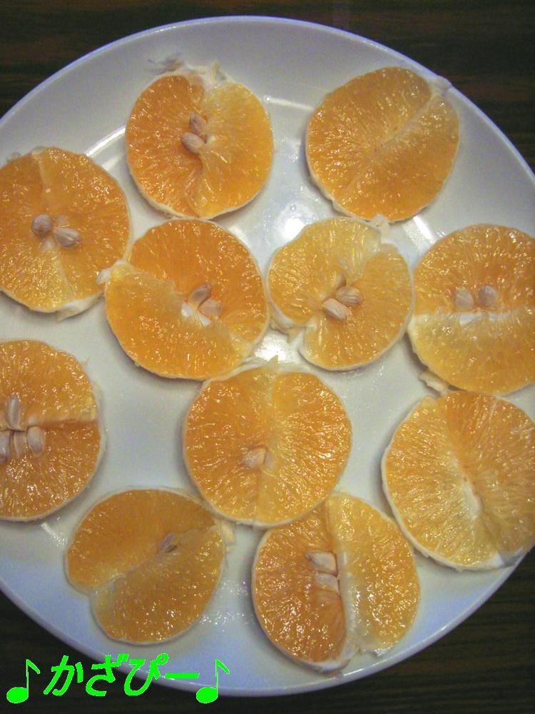 食べやすい♪みかん（柑橘類）の切り方の画像
