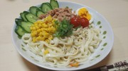 塩レモンの冷やしぶっかけうどんの写真
